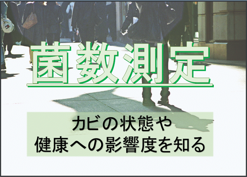 目に見えないから危険 ～カビの状態と健康への影響度～ -