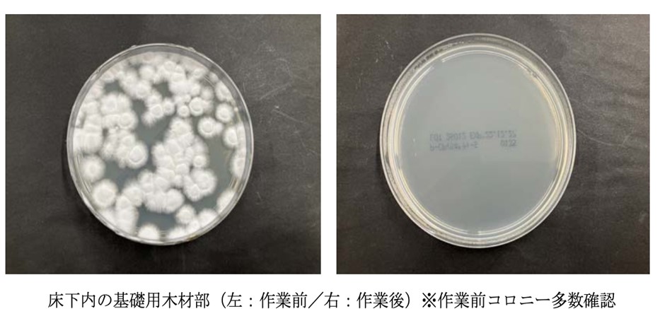 拭き取り採取法でのカビ有無確認と菌数測定試験の実施