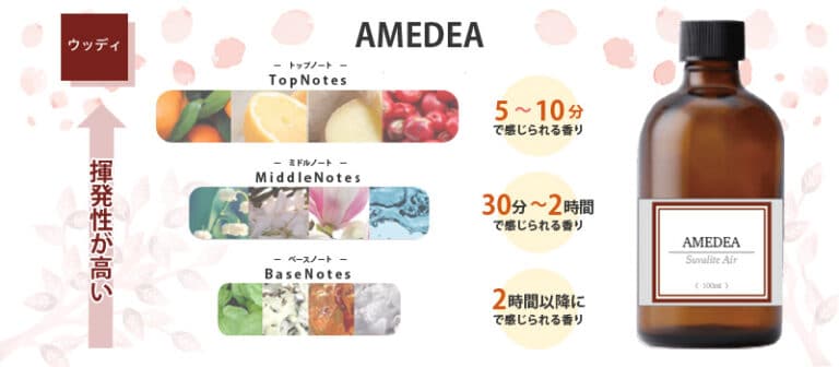 amedea