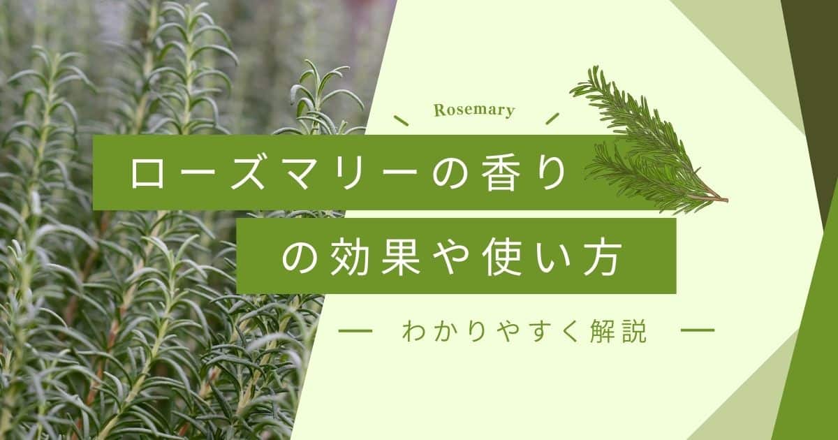 ローズマリーの香りの効果と効能は？成分やおすすめの使用方法を紹介