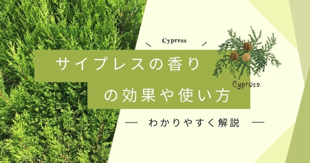 サイプレスの香りの効果と効能！成分や使用方法を紹介